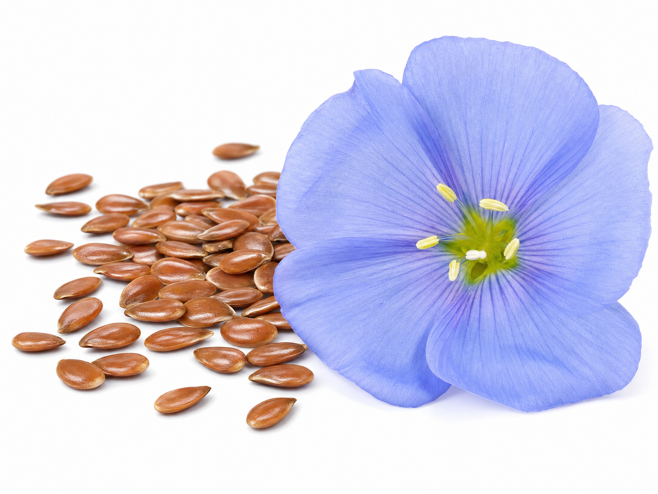 Flax Seed Purchasing